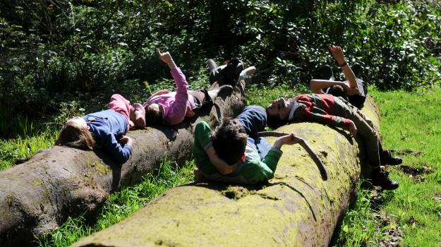 Children lying on a log