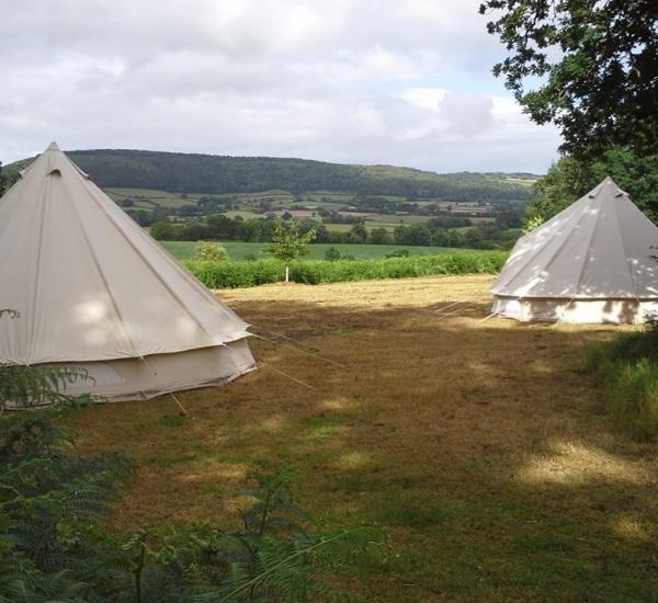 bell tents in the wood