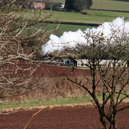 steam train seen from the woods